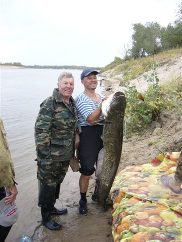 Кликните для увеличения