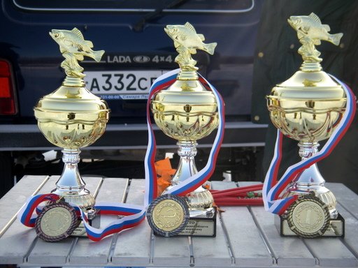 Чемпионат Самарской области по ловле на мормышку со льда