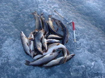 ЗА СУББОТУ 10.04.2010.JPG
