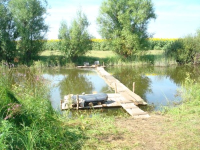 DSC06855.JPG