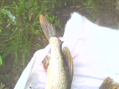 IMG0065A.jpg