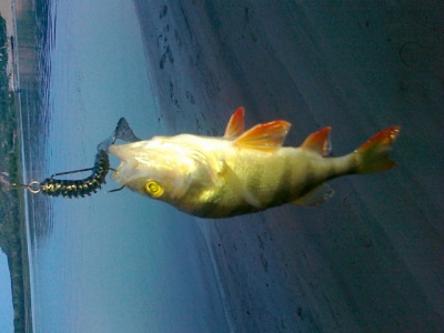 07062011052.jpg