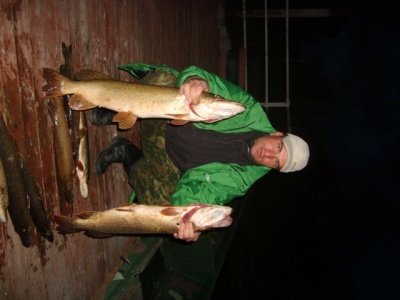 S6003652.jpg