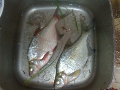 19062011131.jpg