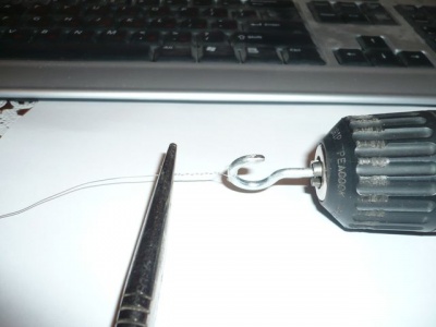 P1000444_.jpg