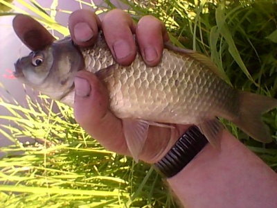 SP_A0949.jpg