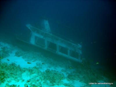 DSC09138-cor.jpg