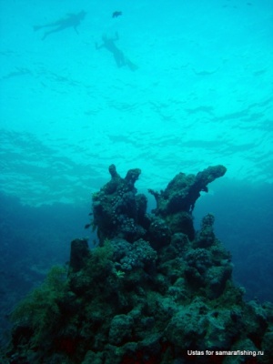 DSC09221-cor.jpg