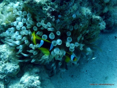 DSC09462-cor.jpg