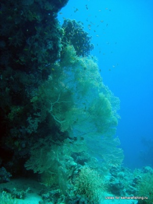 DSC09179-cor.jpg