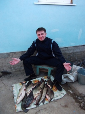 куча.jpg