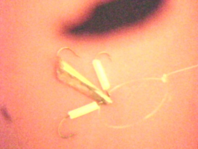 IMG0200A.jpg
