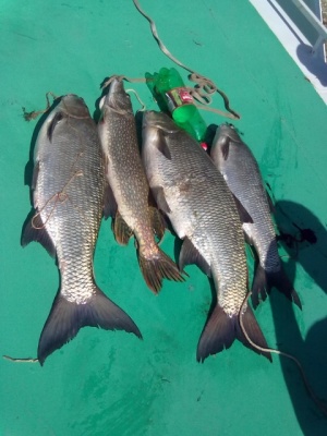 04092010043.jpg