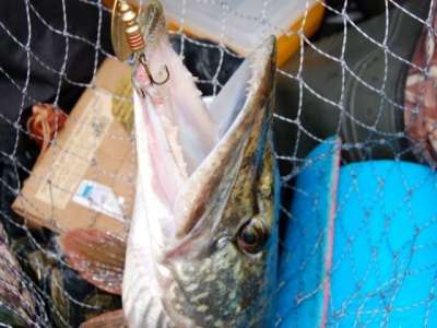 DSC_1553.jpg