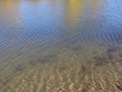 201180485.jpg