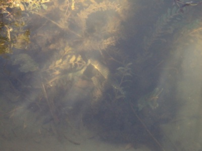 201180532.jpg