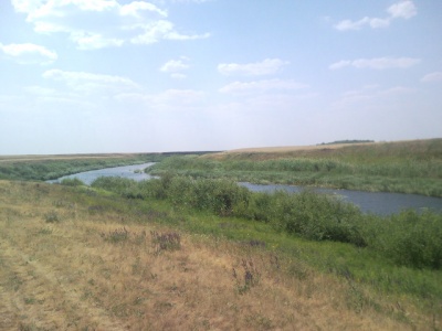 SNC00203.jpg