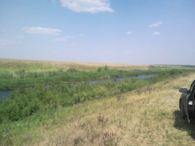 SNC00204.jpg