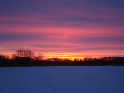 DSC00100.jpg
