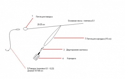 Петля Гарднера.jpg