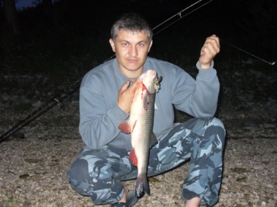 Голавль.jpg