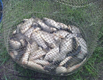 10052011171.jpg