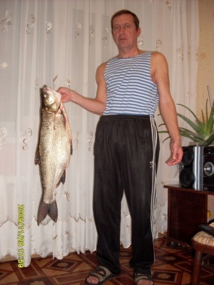 02.jpg