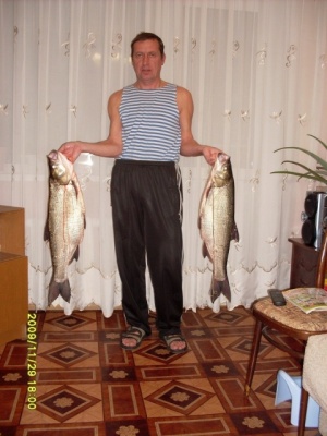 03.jpg