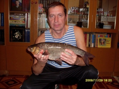 04.jpg