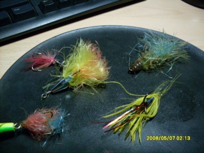 SDC12273.jpg