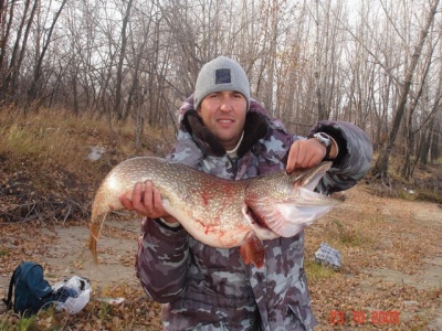 DPP_0004 1.jpg