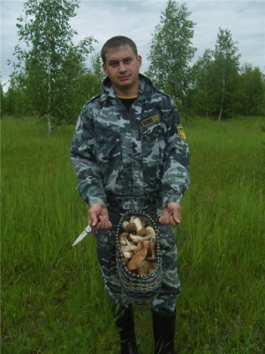 bad333e31578.jpg