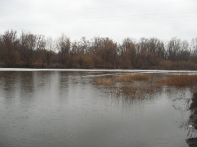 IMG_2280.jpg