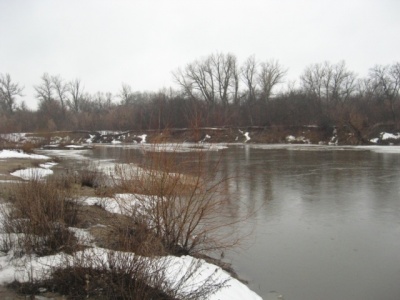 IMG_2285.jpg