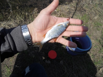 DSCN0903.jpg