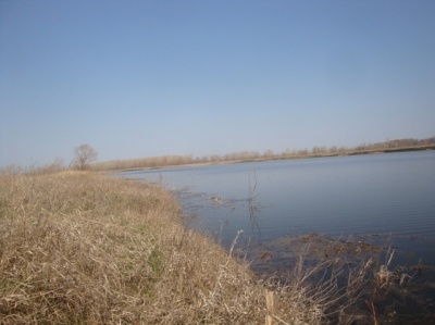 y_5068190a.jpg