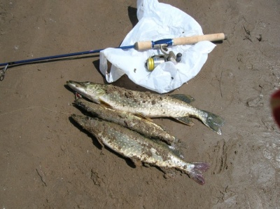 DSCN0876.jpg