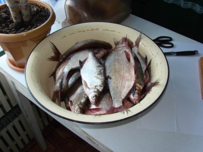 DSC04794.jpg