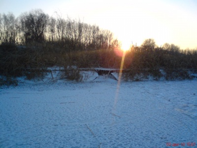 DSC01966.JPG