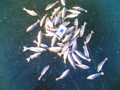 12122010.jpg