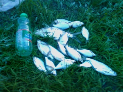 15.05.2011.jpg