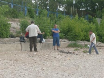 Первые ласточки.JPG