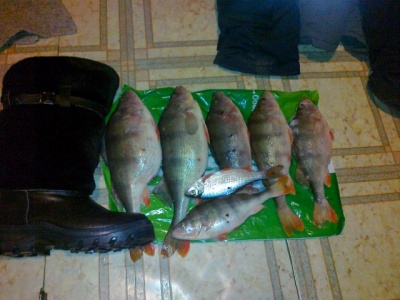 07122010387.jpg
