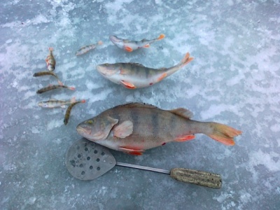 08122010391.jpg
