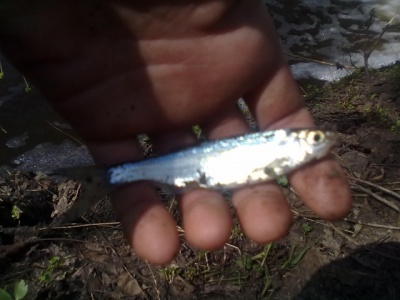 09052011031.jpg