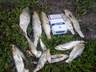 09052011035.jpg
