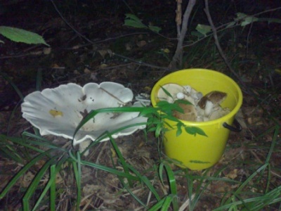 30082011062.jpg