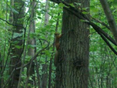 03092011064.jpg