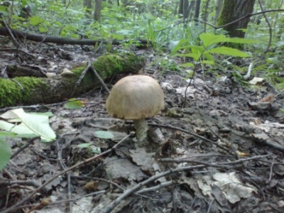 27082011048.jpg