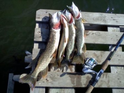 IMG20110904_002.jpg